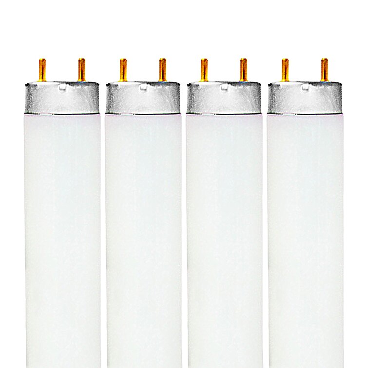 32 inch fluorescent deals bulb